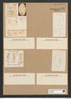 Cystopleura gibberula var. producta Grun. (de-Toni-Nr.: Genus 103, Species 3129) Zeichnungen Sammlung Grunow Nr. 6418 (NHMW-BOT-W0375094)